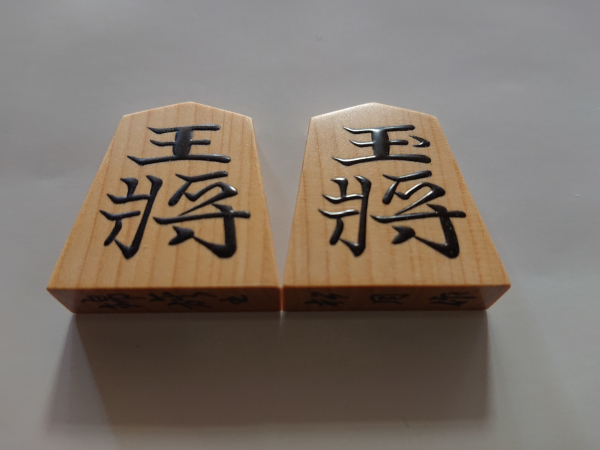 【予約受付専用】　御蔵島つげ　盛り上